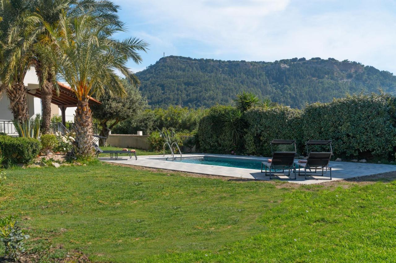 Propodes Luxury Villa 帕斯蒂达 外观 照片