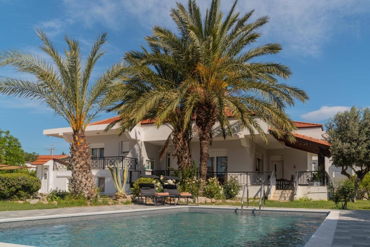 Propodes Luxury Villa 帕斯蒂达 外观 照片